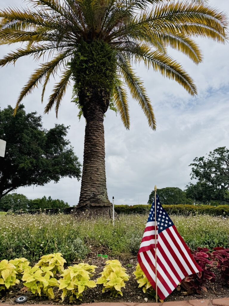 flag 1
